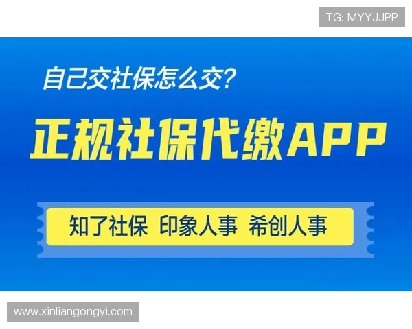 中欧体育app客服常用技巧与用户体验提升建议详解 中欧体育app客服常用技巧与用户体验提升建议详解