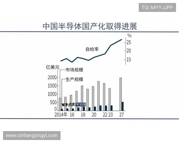 问鼎集团官网：分析公司在行业中的领导地位与市场份额